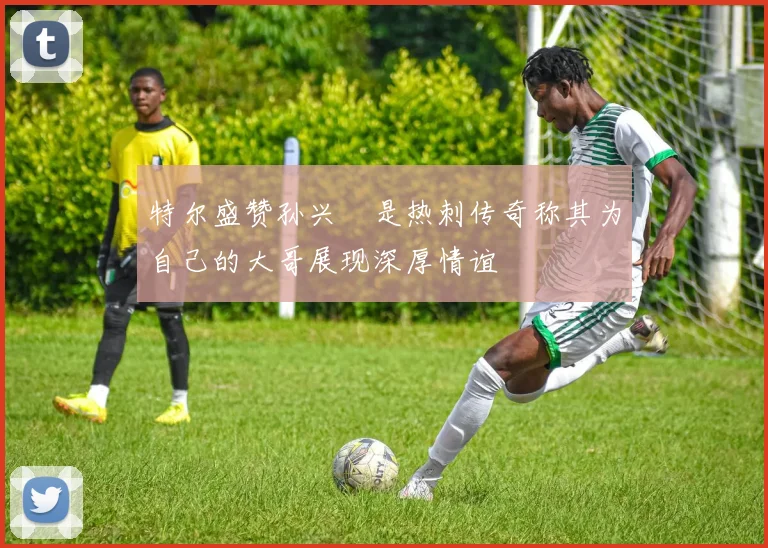 特尔盛赞孙兴慜是热刺传奇称其为自己的大哥展现深厚情谊